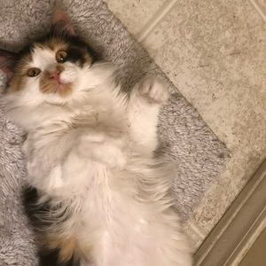 Meet your Posher, Katherine